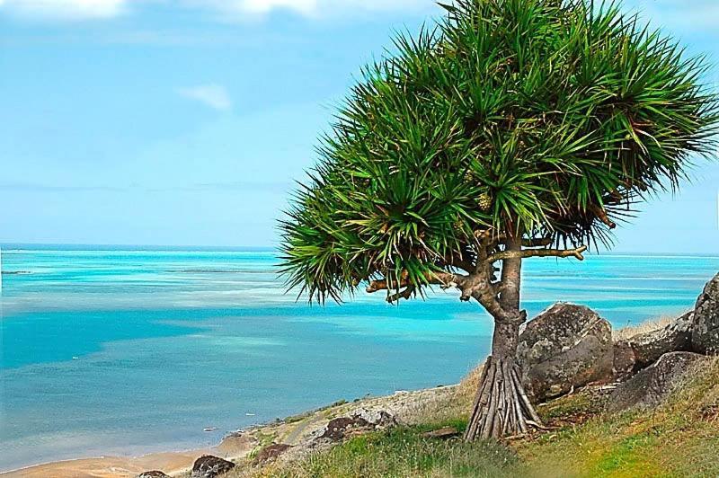 L'Heritage - Vue Sur Mer Bambou 外观 照片